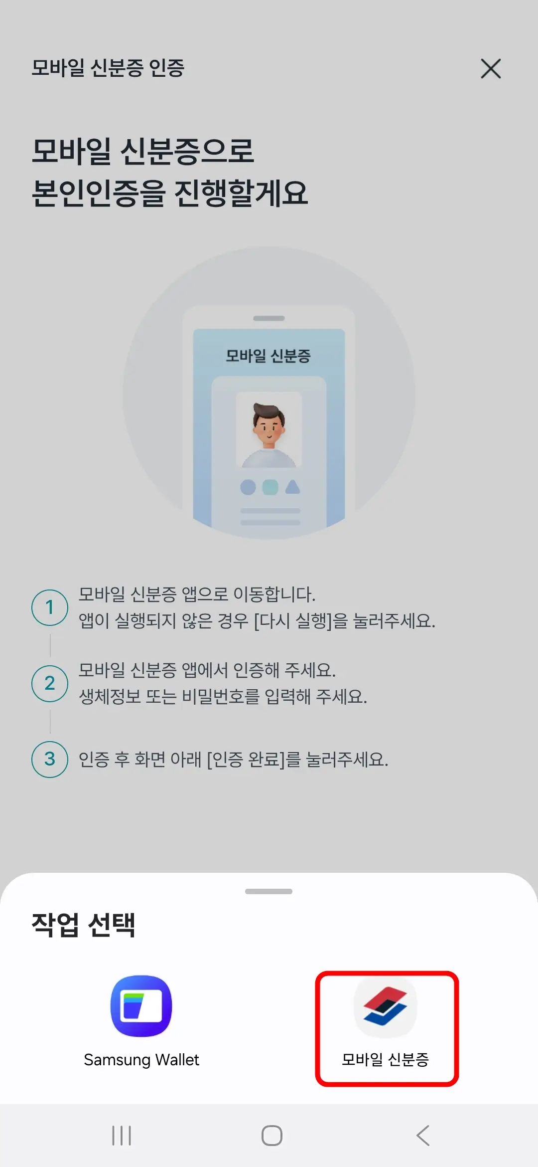 모바일 신분증 선택