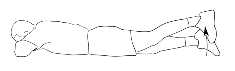 하지직거상-StraightLegRaise-SLR-Hipextention