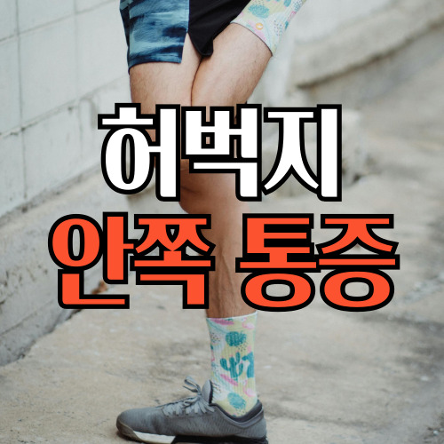 허벅지안쪽통증