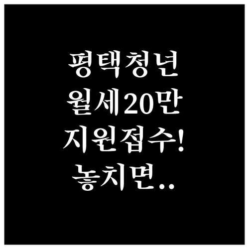 2026 평택시 청년 월세 20만원 ..