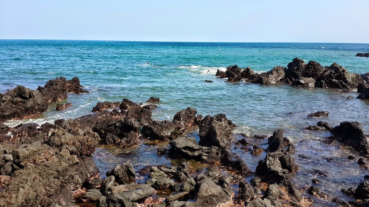 제주도 여행 지원금