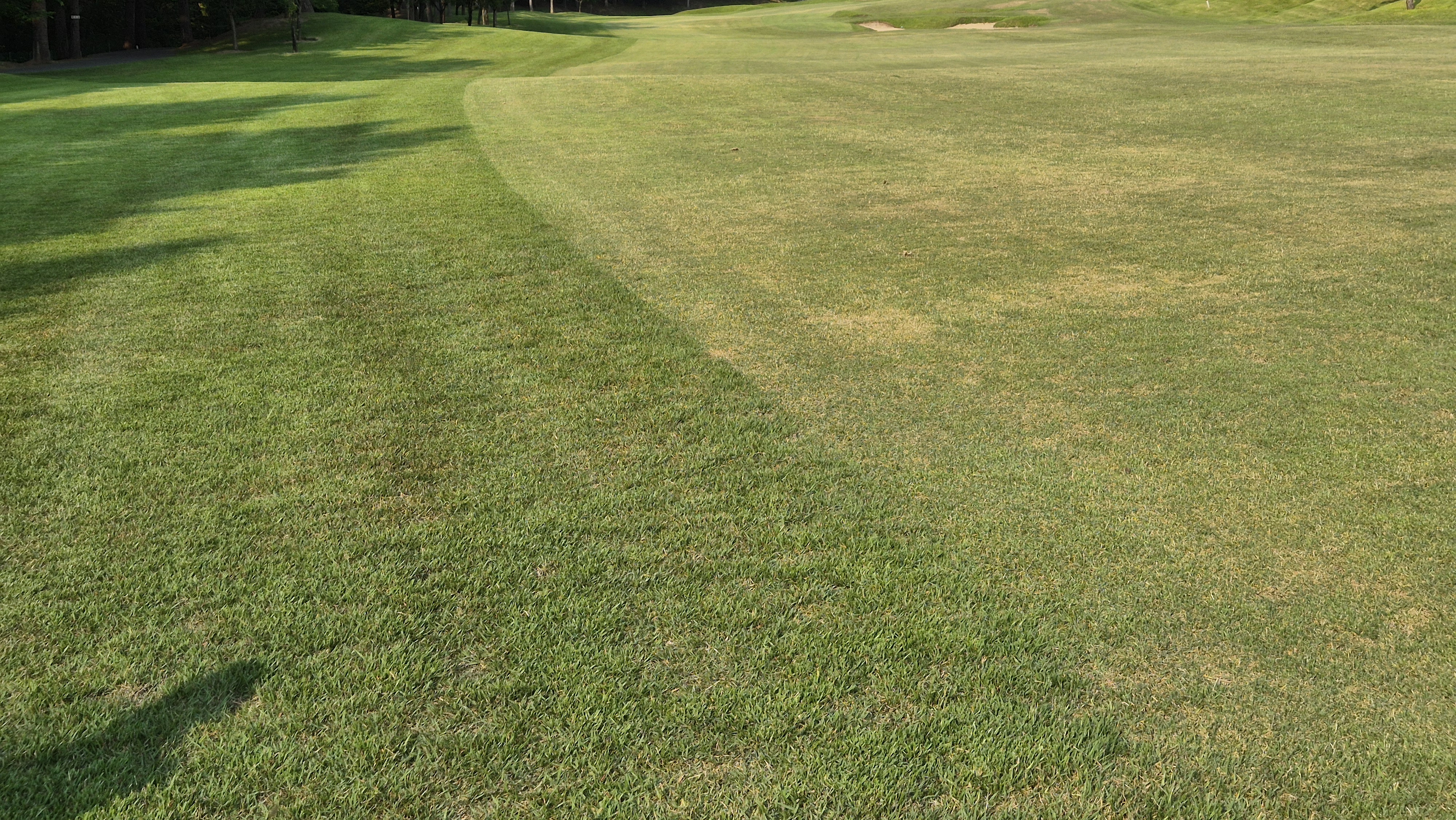 이포cc 라운드 후기