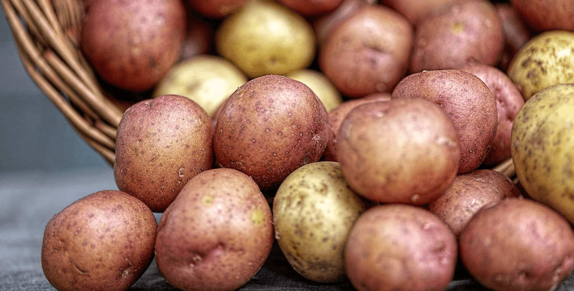  부종에 좋은 음식 사진 감자2