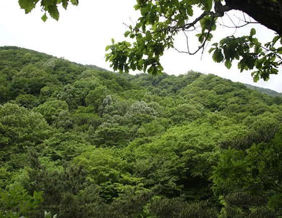 중산리계곡