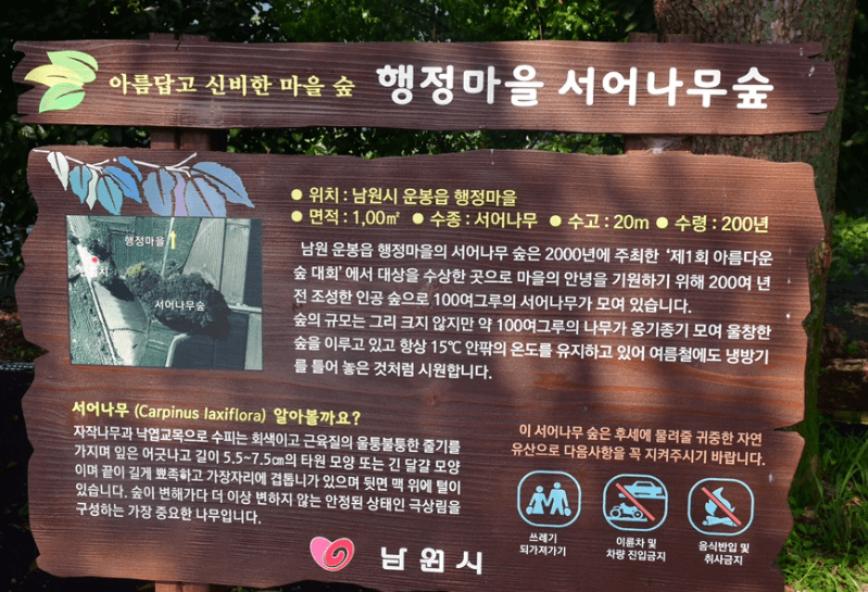 서어나무숲