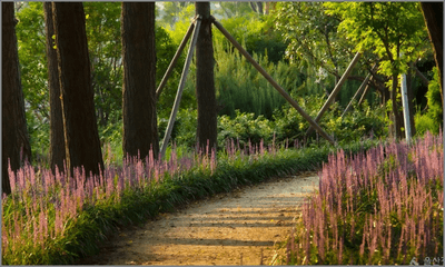 울산 태화강 국가정원 주차장 주차요금 정보 총정리