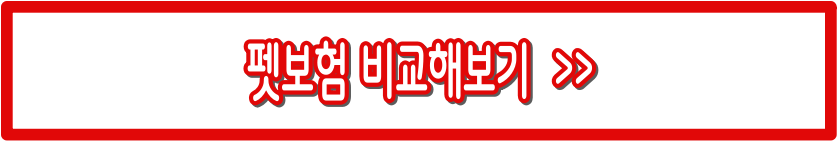 펫보험 비교 추천 총정리