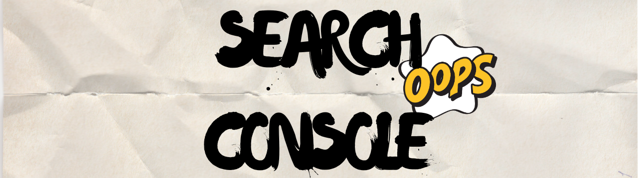 Search Console 오류
