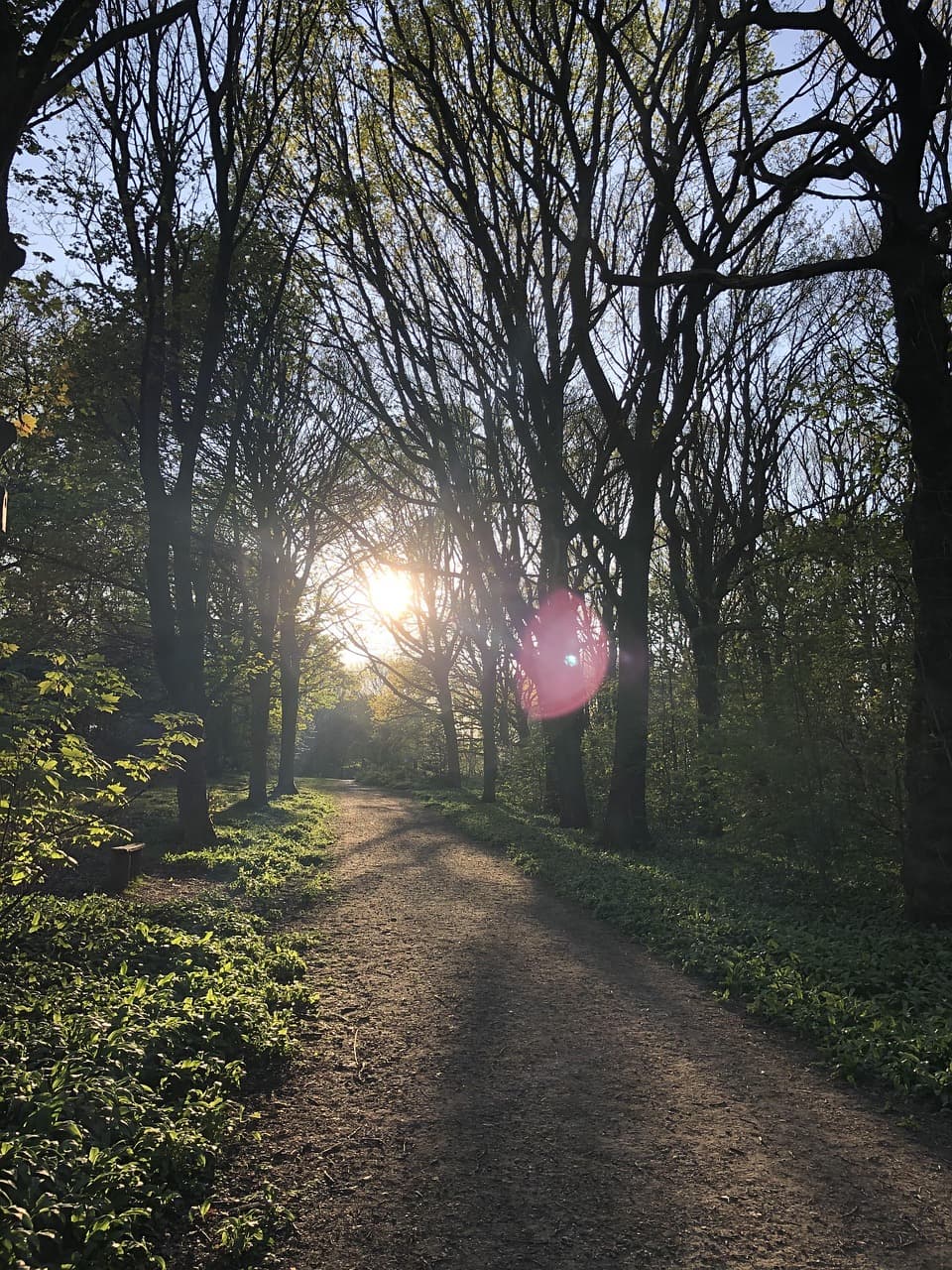 뇌피로를 해소하는 산책과 햇빛의 역할
