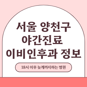 서울 양천구 야간진료 이비인후과 병원 (18시 이후 늦게까지하는 병원)
