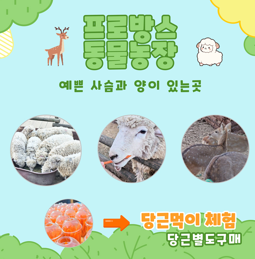 청도 프로방스
