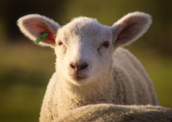 오늘의 운세 11월 1일