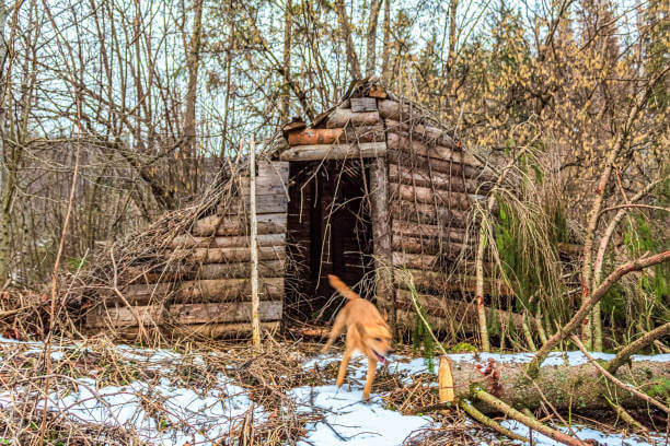 폭설 속 ‘눈동굴’ 대신 활용할 자연 은닉처 5가지