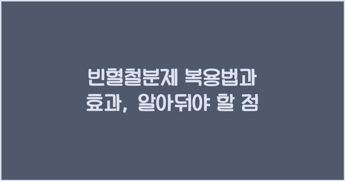빈혈철분제