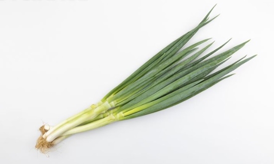 쪽파 언제 심어요? 가을 쪽파 봄 쪽파 심는 시기/종구/심는 방법/수확/보관