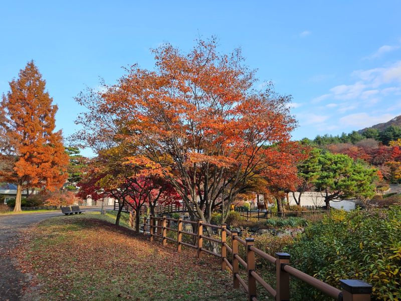 충청남도산림박물관