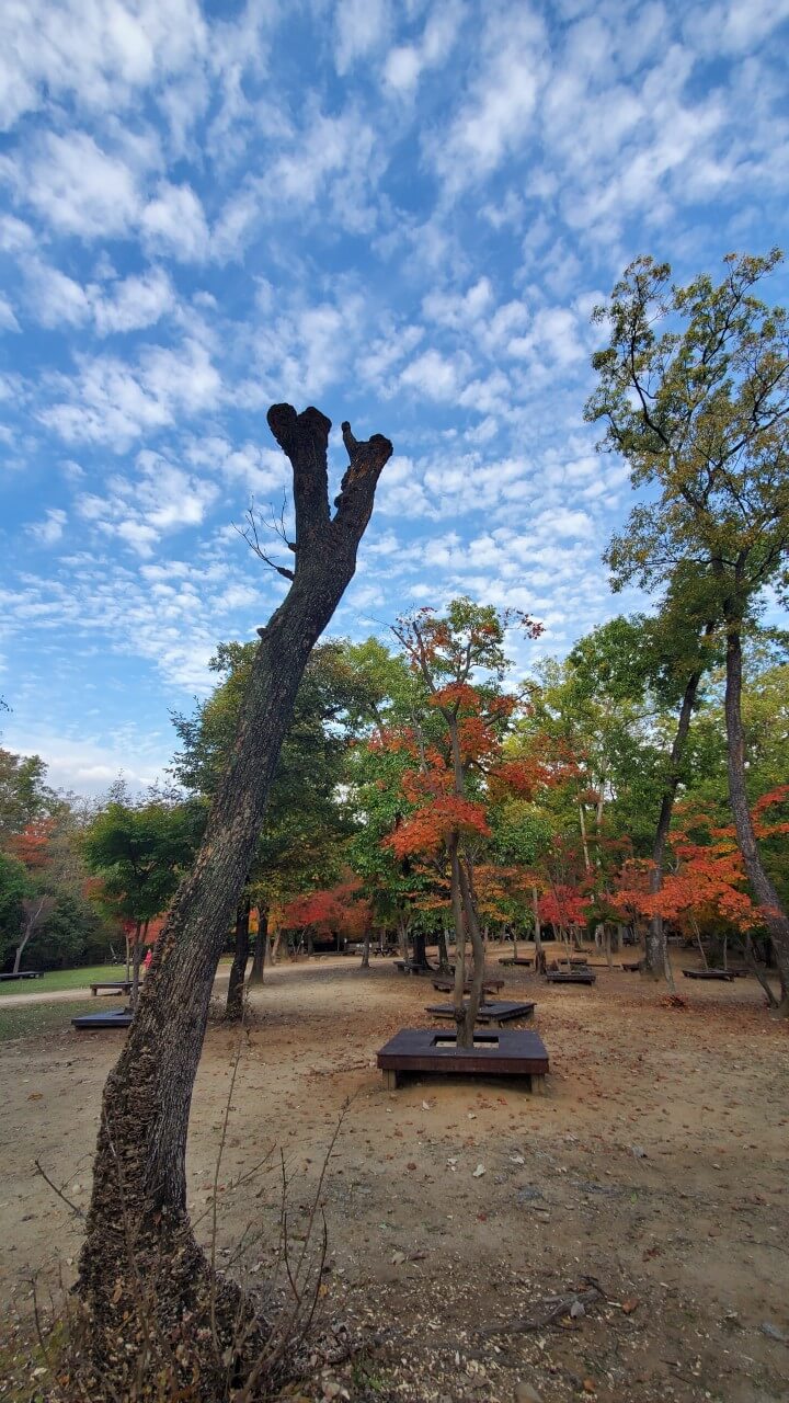 국립 수목원