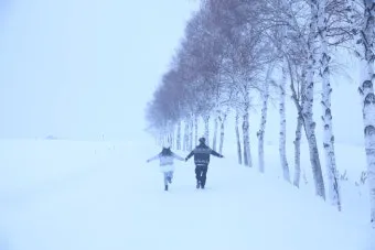 일본 삿포로 위치 지도와 여행 팁으로 소개_14
