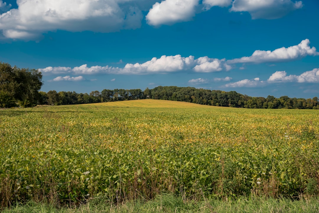 Farmland