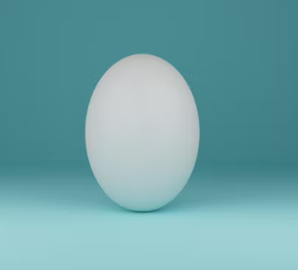 만성 신부전에 좋은 음식 영양제 식단