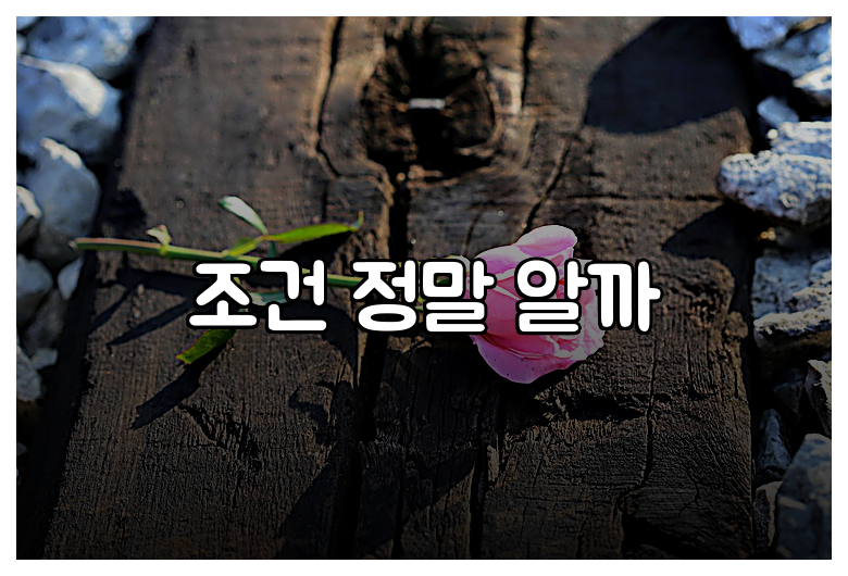 조건 정말 알까