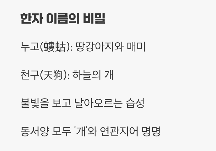 '하늘의 개', 또 다른 이름의 단서
