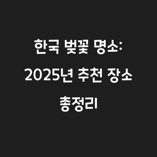한국 벚꽃 명소: 2025년 추천 장소 총정리 대표 이미지