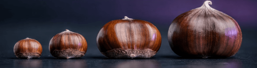 밤 삶는 방법,시간