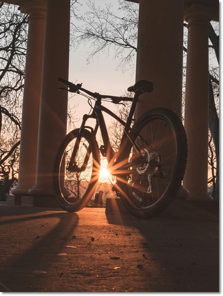 따릉이 사용법 무료 자전거의날