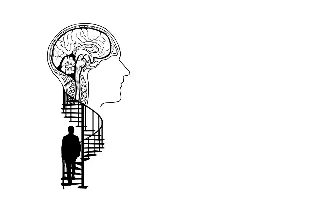 뇌의 감각 통합: 다양한 감각 정보를 하나로 합치는 뇌의 과정