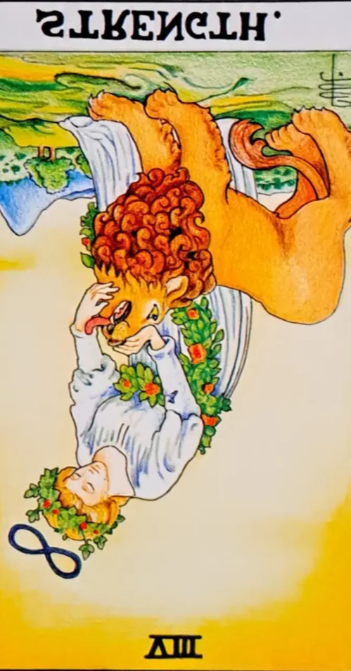 ]메이저 아르카나 8번 힘(STRENGTH)타로카드해석