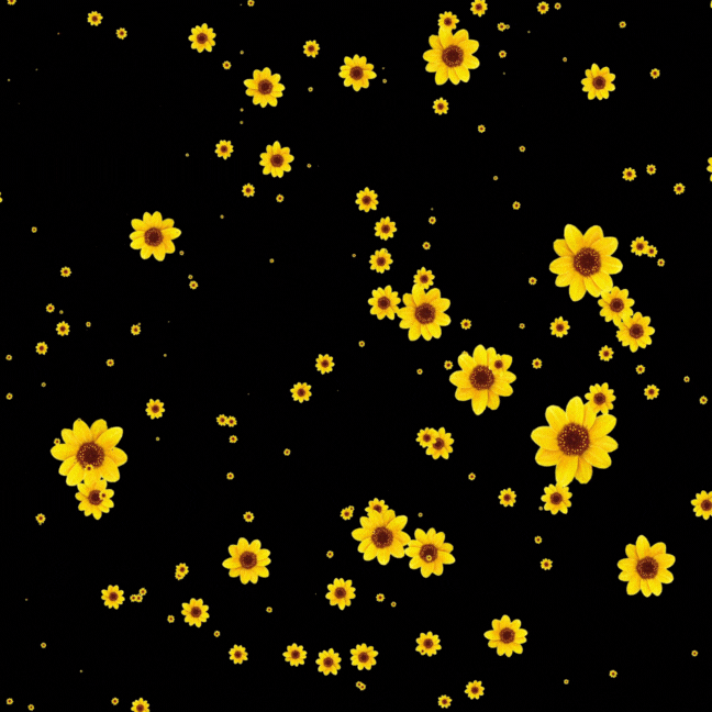 움직이는 생일 축하 문구 이미지 메세지 꽃다발