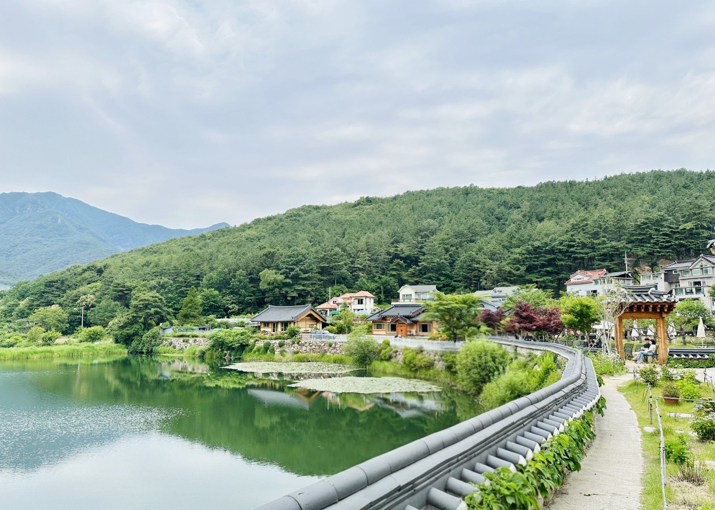 농도 앞 저수지 풍경 사진