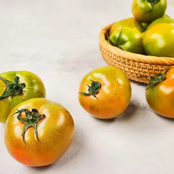 대저토마토 효능 부작용_9