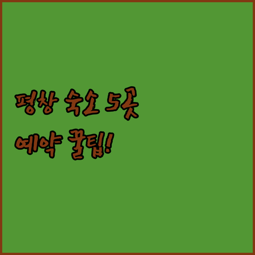 강원도 평창 숙소 선택 가이드 인기 ..