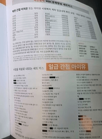 아이유간첩루머
