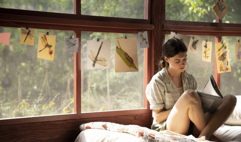 가재가 노래하는 곳 스틸컷 4