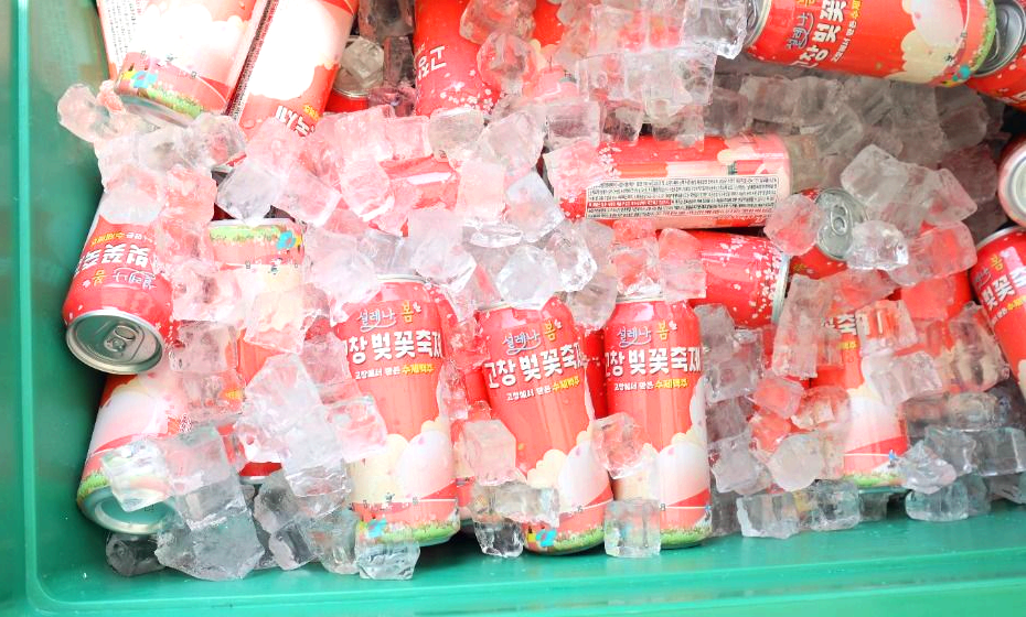 고창벚꽃축제