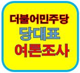 민주당 당대표 여론조사