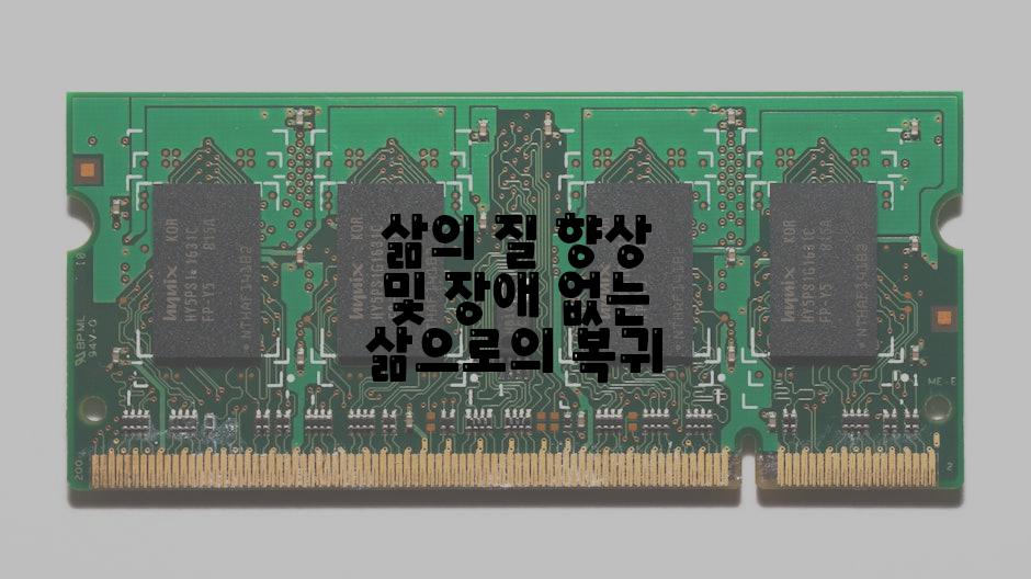 삶의 질 향상 및 장애 없는 삶으로의 복귀