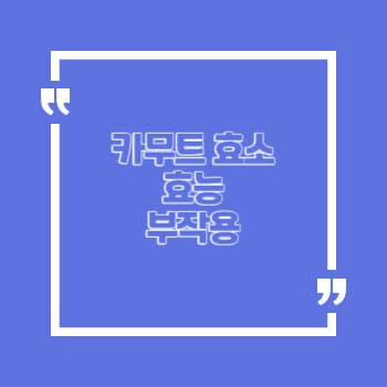 카무트 효소 효능 부작용