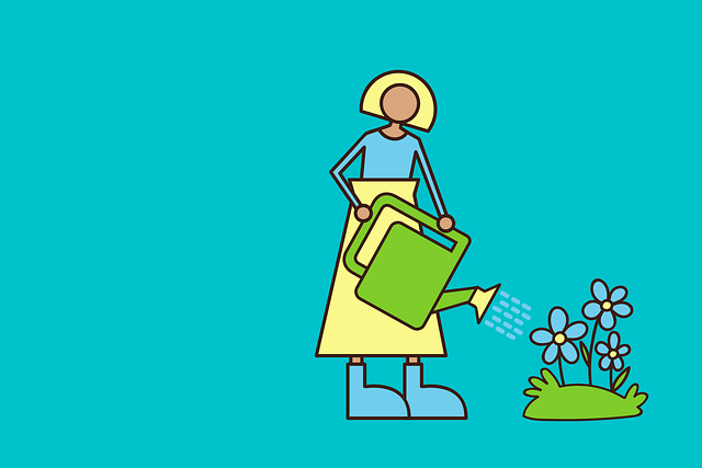 버려진 집을 친환경 라이브러리로 바꾸는 아이디어