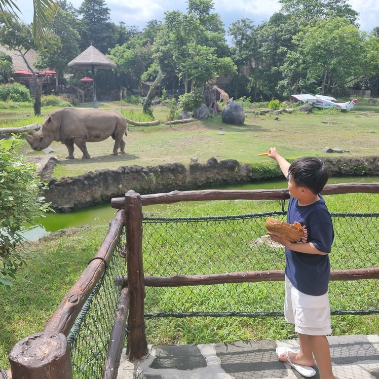 발코니 밖 동물들에게 먹이를 직접 던져줄 수 있어 인기인 바라 리버 사파리 로지.