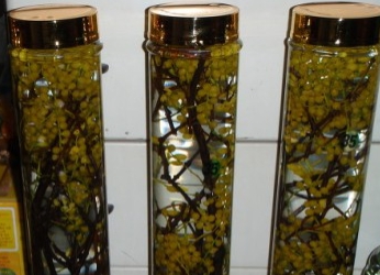 말린 겨우살이로 만든 담금주 사진입니다.