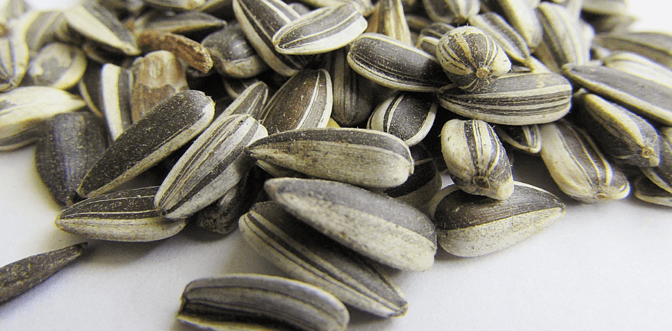 생리통에 좋은 음식 사진 - 165