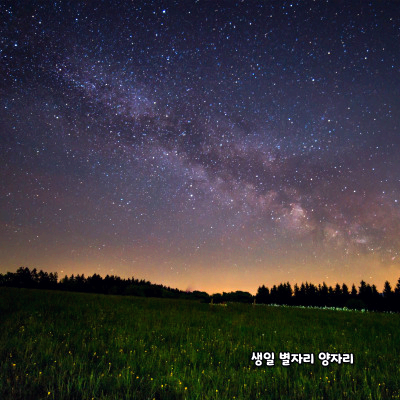 생일 별자리로 알아보는 성격 - 양자리