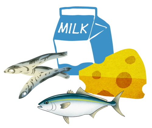 칼슘이많은 음식