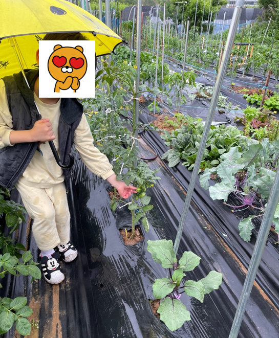 쓰담쓰담