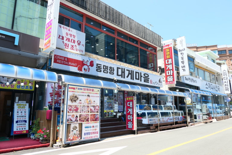 동명항 대게마을 전경