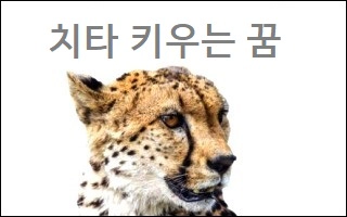 치타 키우는 꿈